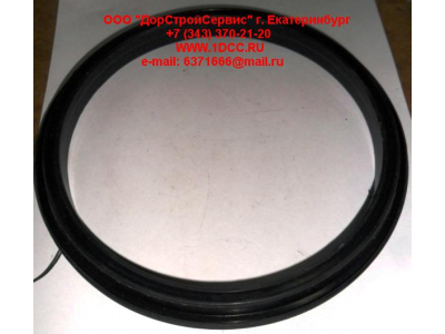 Сальник 165х195х16 балансира DF DONG FENG (ДОНГ ФЕНГ) 29ZB3-04084  для самосвала фото 1 Калининград