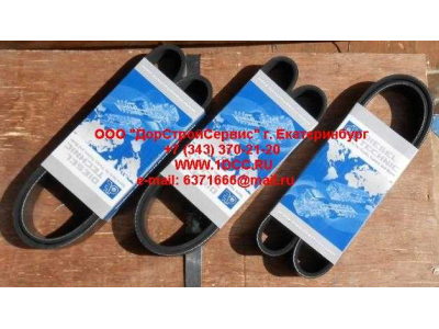 Ремень 8PK1055 ЕВРОПА 2.15363 фото 1 Калининград