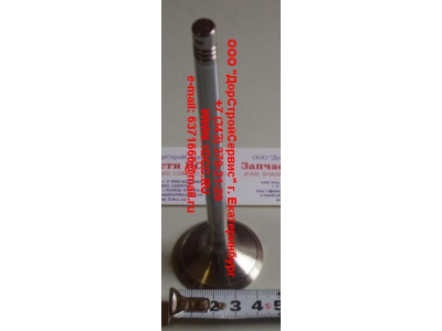 Клапан впускной WP12 SH SHAANXI / Shacman (ШАНКСИ / Шакман) 612630050001 фото 1 Калининград