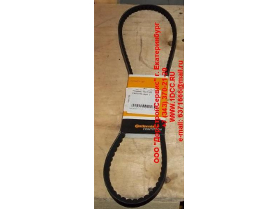 Ремень 13х1125 Европа ЕВРОПА  фото 1 Калининград