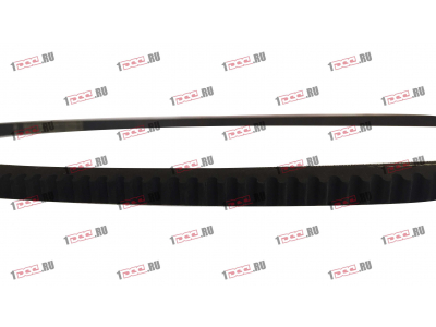 Ремень 13х1250 ЕВРОПА 13x1250 фото 1 Калининград