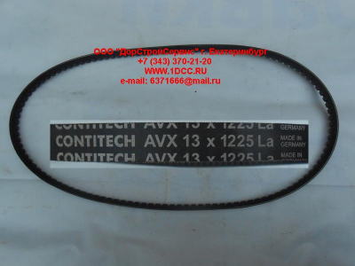 Ремень 13х1225 \Omn MAN,MB,DAF ЕВРОПА AVX13X1225 фото 1 Калининград
